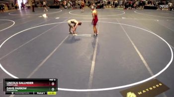 145 Championship Bracket Champ. Round 2 - Lincoln Gallmeier, Forest Lake vs Davis Parrow, Farmington