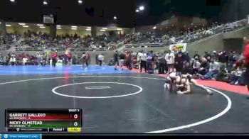 132 lbs Semis & 1st Wrestleback (8 Team) - Nicky Olmstead, 6A Newberg vs Garrett Gallego, 6A Roseburg