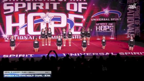 Brandon All-Stars Wesley Chapel - Bliss [2026 L3 Junior - Flex - Small Day 1] 2026 Spirit of Hope Grand Nationals