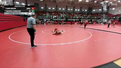 138 lbs Cons. Round 3 - Martin Forester, Lewisville Flower Mound vs Liam Gatlin, Coppell