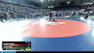 74 lbs Cons. Round 3 - Ethan Park, Mat Demon Wrestling Club vs Stone Roepke, Wrestling Club Tacoma Slam