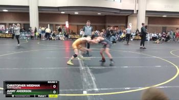 105 lbs Round 5 - Avery Anderson, SHWA vs Christopher Weidman, Team Palmetto