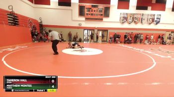 113 lbs Semifinal - Tameron Hall, Omak vs Matthew Montes, Forks