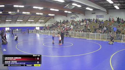 85 lbs Round 2 - Jackson Gibson, Dallas Mat Club vs David Craig, Cottage Grove Wrestling Club