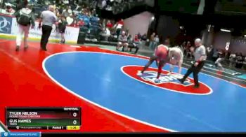 1 lbs Semifinal - Tyler Nelson, Mount Pisgah Christian vs Gus Hames, Trion