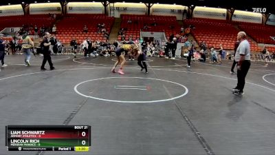 110 lbs Finals (2 Team) - Logan Sanger, Westshore vs Brinley Dinzeo, Silo WC