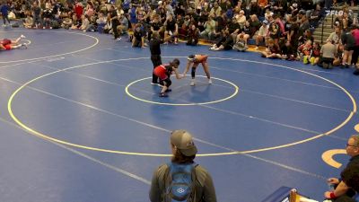 114 lbs Quarterfinal - Ashley Cox, Clarence vs Breana Pentycofe, Palmyra Macedon