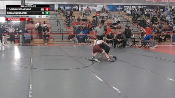 141 lbs Champ. Round 1 - Giovanni Scafidi, Felician vs Colton Stoneking, Fairmont State