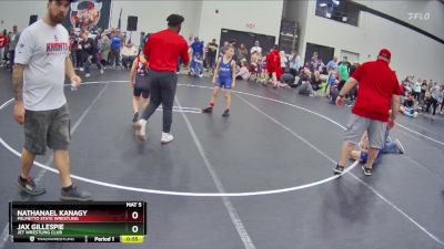 58 lbs Round 3 - Nathanael Kanagy, Palmetto State Wrestling vs Jax Gillespie, JET Wrestling Club