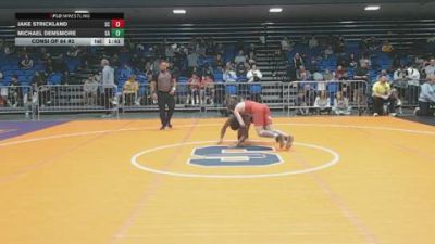 113 lbs Consi Of 64 #2 - Jake Strickland, SC vs Michael Densmore, GA