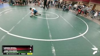 96 lbs Cons. Semi - Lennox Sewall, Apex Grappling Academy vs Jarek Gallegos, Betterman Elite Wrestling