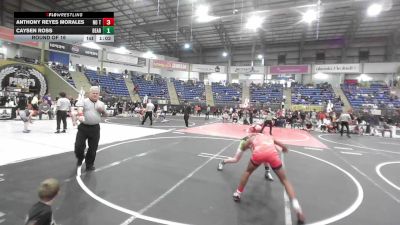 138 lbs Round Of 16 - Anthony Reyes Morales, No Team vs Caysen Ross, Bear Cave WC