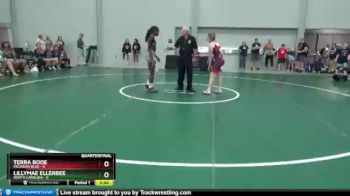 138 lbs Quarterfinals (8 Team) - Terra Booe, Michigan Blue vs Lillymae Ellerbee, North Carolina