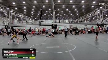 100 lbs Round 1 (8 Team) - Lane Gowl, Ohio Gold vs Cale Wimberly, Team Gotcha White