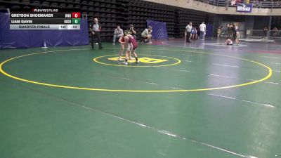 65 lbs Quarterfinal - Greyson Shoemaker, Binghamton vs Liam Gavin, Rochester Mills
