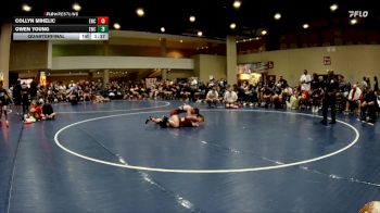 105 lbs Quarterfinal - Collyn Mihelic, Elevation Wrestling Club vs Owen Young, Elevate Wrestling Club