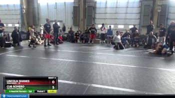 68 lbs Round 2 - Cub Romero, Vougar`s Honors vs Lincoln Shanks, Warhawks