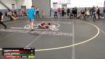 77 lbs Quarterfinal - Cameron Watson, Alaska vs Carter Shepersky, Mat-Su Matmen