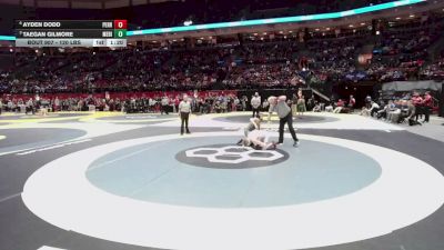 120 lbs Quarters - Taegan Gilmore, Medina vs Ayden Dodd, Perrysburg