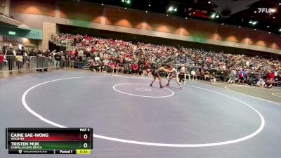 132 lbs Prelim - Caine Sae-Wong, Wooster vs Tristen Muk, Cabrillo/Long Beach