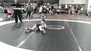101 lbs Quarterfinal - Cole Salce, Team Tugman - MSC vs Sydney Daxberger, New England Gold - MSC