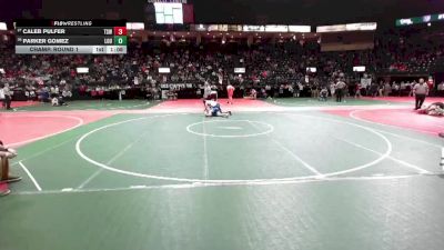 209 lbs Champ. Round 1 - Caleb Pulfer, TSWA vs Parker Gomez, LOU1