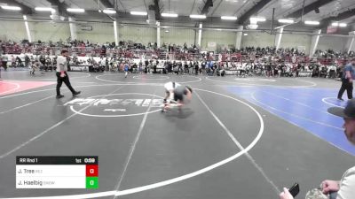 106 lbs Rr Rnd 1 - Jason Tree, Rez WC vs Jax Haelbig, Snowflake Lobos