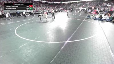 D3-132 lbs Semifinal - Roger Flege, Aquinas vs Lakota Brewer, Riverdale