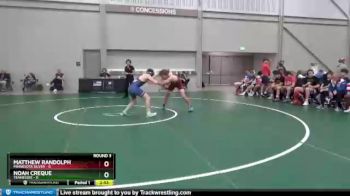 138 lbs Round 3 (8 Team) - Matthew Randolph, Minnesota Silver vs Noah Creque, Tennessee