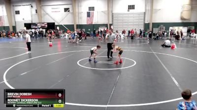 49 lbs Cons. Semi - Rooney Dickerson, Kearney Catholic Wrestling Clu vs Brevin Dobesh, East Butler