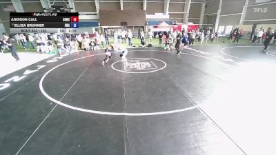 120 lbs Quarterfinal - Addison Call, Bear River Wrestling Club vs Elliza Brunner, Sanderson Wrestling Academy
