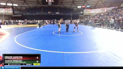 98 lbs Quarterfinal - Mercer Hamilton, Mat Demon Wrestling Club vs Thomas Bingham, Vashon Island Junior Wrestling