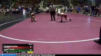 145 lbs Cons. Round 2 - Cameron Mathis, Dothan HS vs Wyatt Allen, Foley