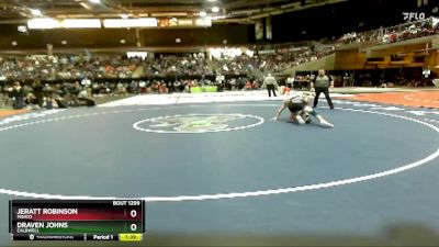 126 lbs Quarterfinal - Draven Johns, Caldwell vs Jeratt Robinson, Minico