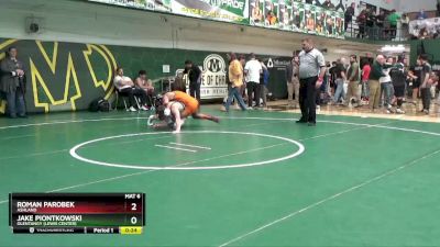 126 lbs Cons. Semi - Jake Piontkowski, Olentangy (Lewis Center) vs Roman Parobek, Ashland