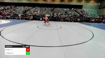 100 lbs Consi Of 4 - Ava Bui, Centennial vs Jaelynn Serna, Apple Valley