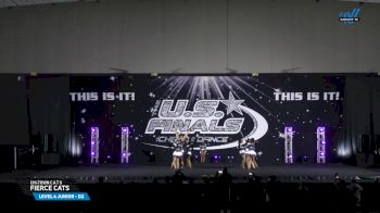 Chi-Town C A T S - FIERCE CATS [2025 L4 Junior - D2 Finals] 2025 The U.S. Finals Chicago