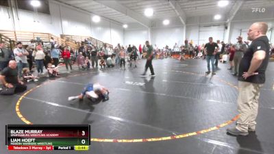 70 lbs Quarterfinal - Liam Hoeft, Modern Warriors Wrestling vs Blaze Murray, Spartanburg Wrestling Academy