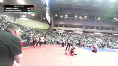 49 lbs Quarterfinal - Everett Dinkel, Dover Youth Wrestling Club vs Kingston Jackson, Panther Youth Wrestling-CPR