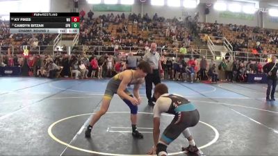 134 lbs Champ. Round 2 - Ky Fikes, West Geauga vs Camdyn Bitzan, Springfield