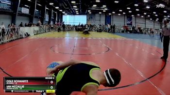 110 lbs Rd# 6- 9:00am Saturday Final Pool - Cole Schwartz, PA Gold vs Ian McCallie, Minion Black