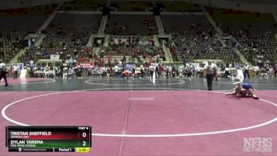 6A 106 lbs Quarterfinal - Tristan Sheffield, Spanish Fort vs Dylan Yarema, Pike Road School