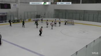 Replay: Home - 2024 Impact vs Stampede | Jan 20 @ 7 PM