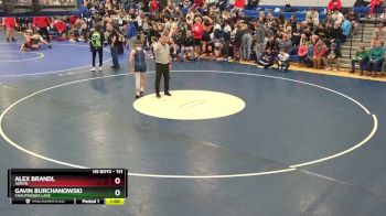 131 lbs Cons. Round 2 - Gavin Burchanowski, Chautauqua Lake vs Alex Brandl, Akron