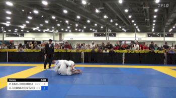 PETER CARL EDWARD ANDERSEN vs HAMLET HERNANDEZ MORAN 2023 World Master IBJJF Jiu-Jitsu Championship