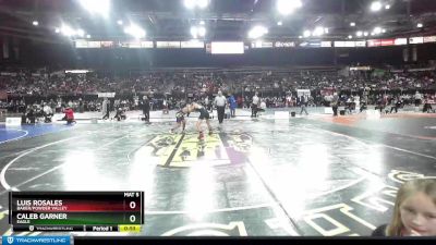 113 lbs Cons. Round 1 - Luis Rosales, Baker/Powder Valley vs Caleb Garner, Eagle