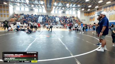 126 lbs Quarterfinal - Nathaniel Williams, Gladiator Wrestling Club vs Zach Berry, Palm Harbor University High School