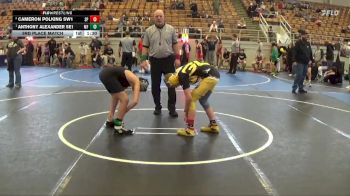 110 lbs 3rd Place Match - Anthony Alexander SE1, Martins Ferry vs Cameron Polking SW1, GGB Ohio