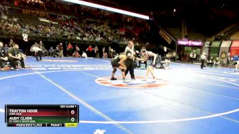 120 Class 1 lbs Champ. Round 1 - Audy Clark, St. Mary`s South Side vs Trayton Hook, Lone Jack