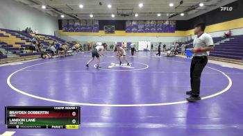 113 lbs Champ. Round 1 - Brayden Dobbertin, HRHS vs Landon Lane, Angry Fish